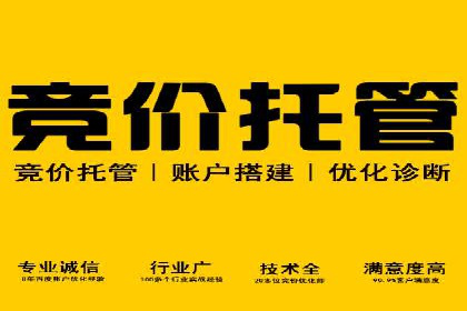 行业专家眼中的sem账户托管成功要素