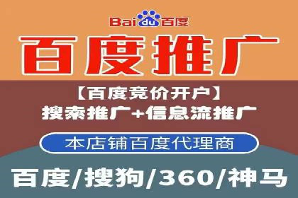 SEM竞价案例：提升搜索引擎排名